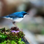 「いつか書こう」では遅いかもしれません ― 遺言書の大切さ