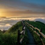 親族以外にも財産を遺せる？遺留分を考慮した“もめない遺言”の作り方