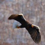 遺言は、最後の家族へのラブレター