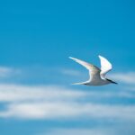 夫婦で一緒の遺言はダメ？せっかく書いても無効になることも