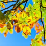 【相続欠格と代襲相続】知らないと大きなトラブルに発展する相続ルール｜行政書士室井実事務所