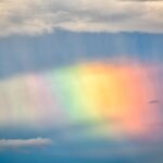 胎児がいる場合の遺言書はどうなる？