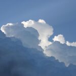 【尼崎市の行政書士が解説】遺言書で「信託」も可能に？相続トラブルを防ぐための新しい選択肢