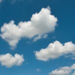 「兄弟姉妹には遺留分がない」って本当？遺言書と相続対策を尼崎の行政書士が解説