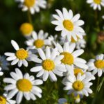 尼崎市の行政書士】相続・遺言書・おひとりさま後見契約のご相談は室井実事務所へ