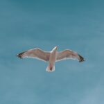 再婚家庭の相続トラブルを防ぐには？先妻の子と後妻がいる場合の遺言書の重要性