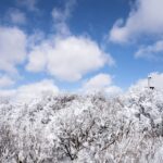 【遺言は二人同一の証書でできない？】同じ紙に書かれた“二つの遺言”は有効になるのか｜尼崎市の行政書士が解説