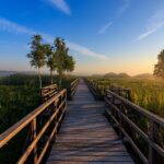 尼崎市で相続・遺言書サポートなら行政書士室井実事務所へ