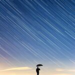 遺言執行者を決めておくことの重要性｜尼崎市の相続・遺言専門家が解説