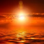 【尼崎の行政書士が解説】相続トラブルを防ぐ遺言書の書き方と「遺言執行者」を指定すべき理由