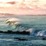 相続手続きで見落としがちな「名寄帳の調査」とは？不動産の漏れを防ぐ重要ポイント