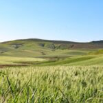 相続手続きが楽になる「法定相続証明情報」とは？