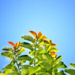 相続財産目録とは？作成の重要性とポイント【尼崎市・阪神エリア対応】