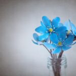 遺言書で「廃除」はできる？〜尼崎市の行政書士が解説〜