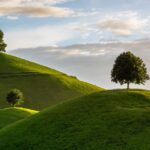 尼崎市・阪神エリアでの遺言書作成と財産目録のポイント｜行政書士室井実事務所